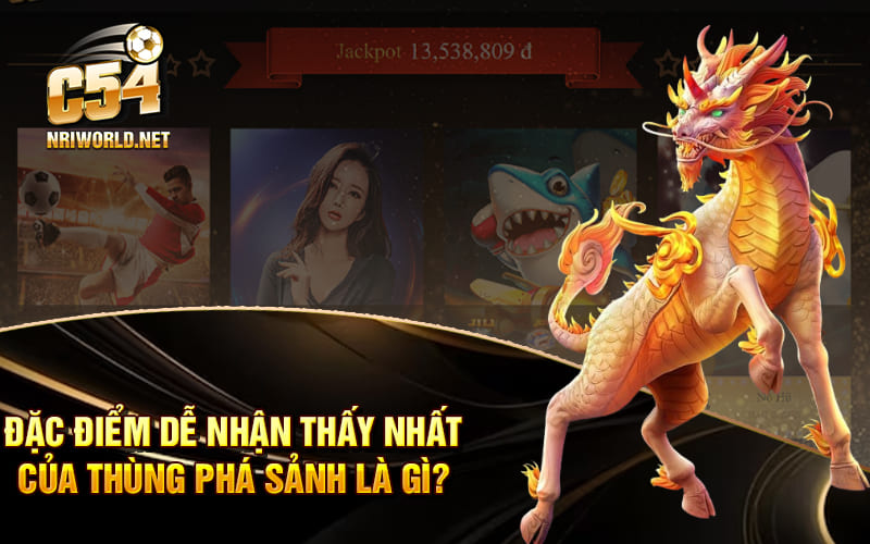 Đặc điểm dễ nhận thấy nhất của thùng phá sảnh là gì?